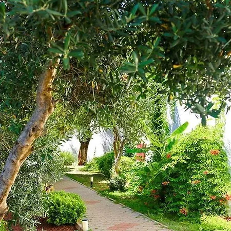 Marvera Hotel Fethiye